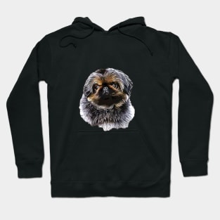 Pekingese Puppy Dog - Adorable! Hoodie